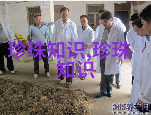 你知道海螺珍珠吗